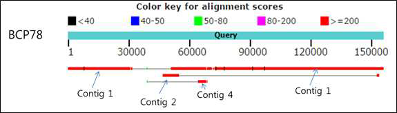 Alignment of BCP22 contigs with BCP78 by using NCBI BLAST search