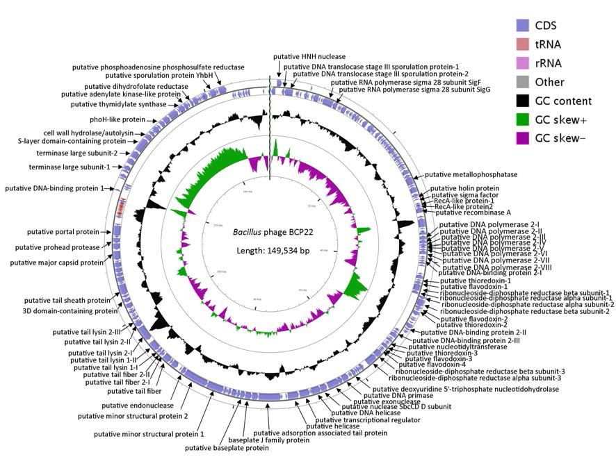 Circular map of BCP22