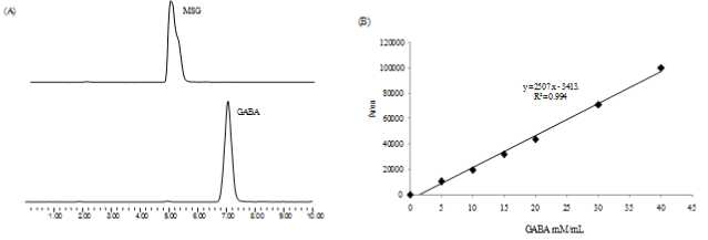 HPLC/ELSD 크로마토그램 및 GABA 표준곡선.