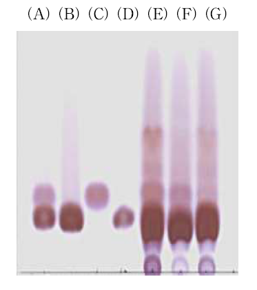 한국미생물보존센터 (KCCM) 분양 효모 균 주의 whole-cell 반응 TLC chromatogram