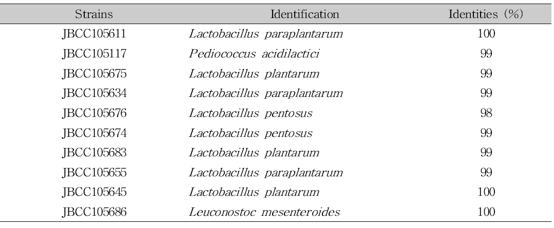 장류로부터 분리된 CLA 생성 유산균의 16S rDNA 동정