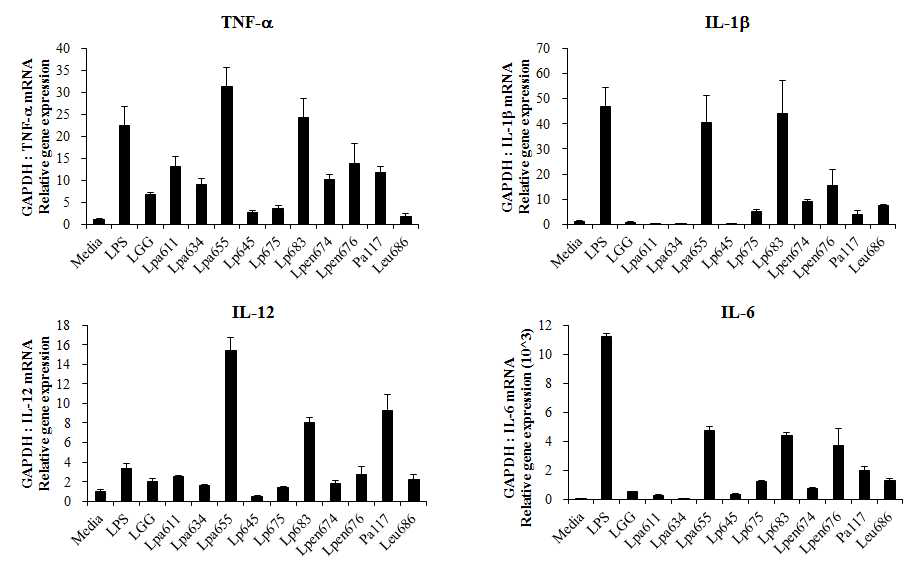 전통장류유래 CLA 생성 유산균 처리에 따른 RAW 264.7 세포에서의 Th1/Th2 조절에 관여하는 염증성 사이토카인의 생성