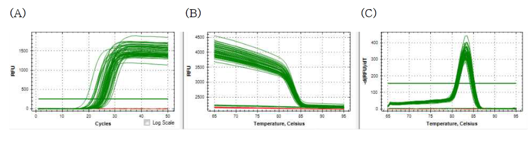 Negative control (NTC, non-template control) 및 CLA 생성 유산균의 linoleate isomerase 유전자 증폭 후 (A) Ct값, (B) melt curve와 (C) melt temperature 확 인