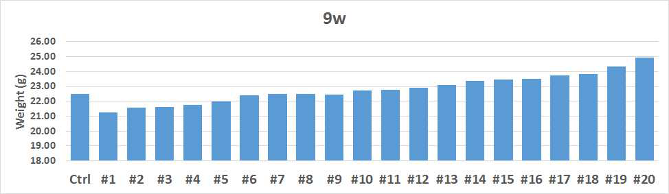 9주차 body weight