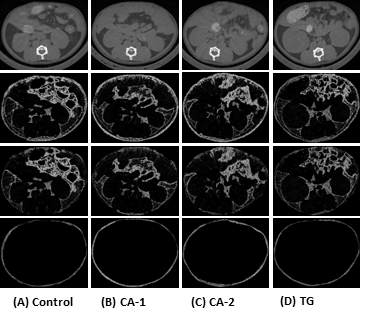 The representative micro-CT image used for comparative analysis of the mice treated with the Tangerine and CA at 0 week.