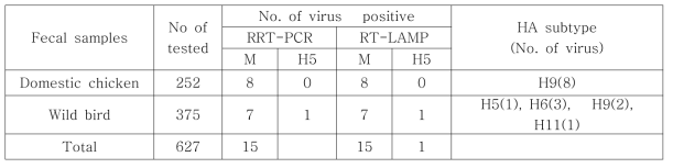 Results of virus detection in clinical samples by the M or H5 gene-specific RT-LAMP and real time RT-PCR (RRT-PCR)