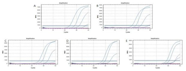 Optimization of sample pre-treatment condition with sample dilution buffer(SAB) for direct realtime RT-PCR (dRRT-PCR).