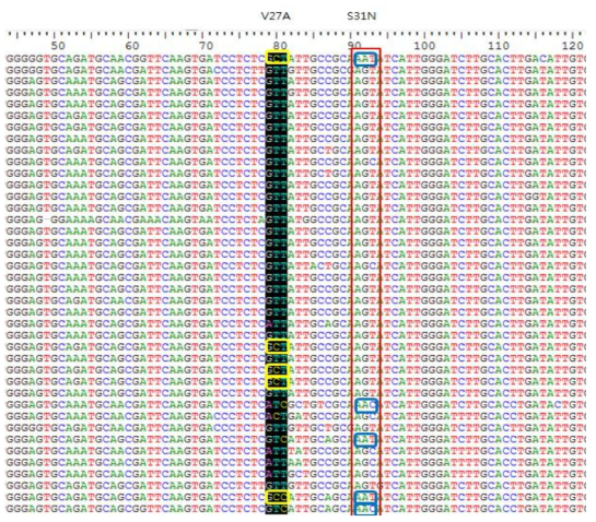 Sequence analysis of the amantadine-resistant region of the M gene of the tested avian influenza viruses.