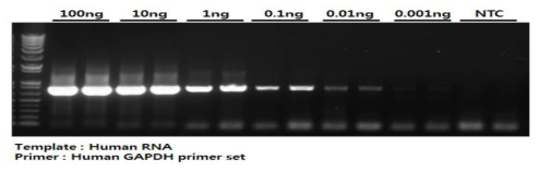 Acitivity of One-step direct RT-PCR