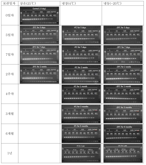 Stability of the developed kits by chronological sensitivity test in different temperatures.