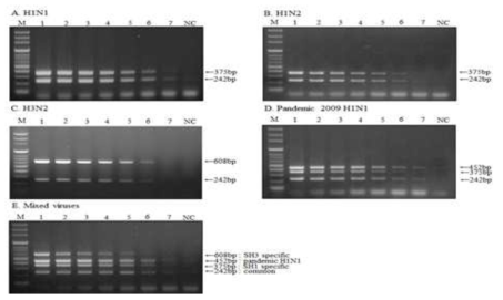 Sensitivity of the one-step multiplex RT-PCR for the detection of swine influenza virus (SIV).