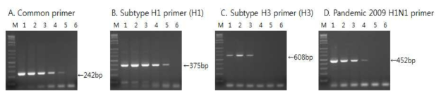 Sensitivity of the one-step mult-tube direct RT-PCR for the detection of swine influenza virus (SIV).