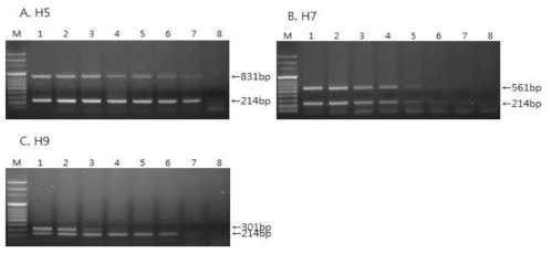 Sensitivity of the one-step multiplex RT-PCR for the detection of avian influenza virus (AIV).