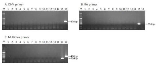 Specificity of the RT-PCR for the detection of Duck hepatitis virus (DHV) and Riemerella (RA) by single (A, B) or multiplex RT-PCR (C).