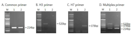 Specificity of the RT-PCR for the detection of equine influenza viruses (EIV) subtype H3 and H7 by single (A-C) or multiplex RT-PCR (D).