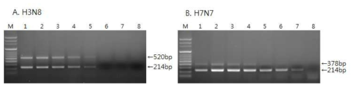 Sensitivity of the one-step multiplex RT-PCR for the detection of equine influenza viruses (EIV) subtype H3, H7.