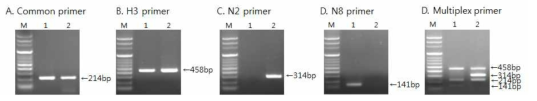 Specificity of the RT-PCR for the detection of canine influenza viruses (CIV) subtypes by single (A-C) or multiplex RT-PCR (D).