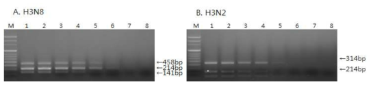 Sensitivity of the one-step multiplex RT-PCR for the detection of canine influenza viruses (CIV).