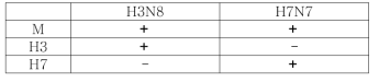 Specificity of the real time RT-PCR for the detection of equine influenza virus