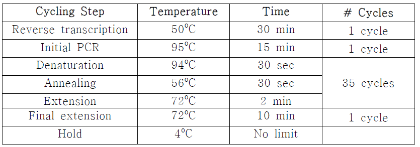 One-step RT PCR 반응 조건