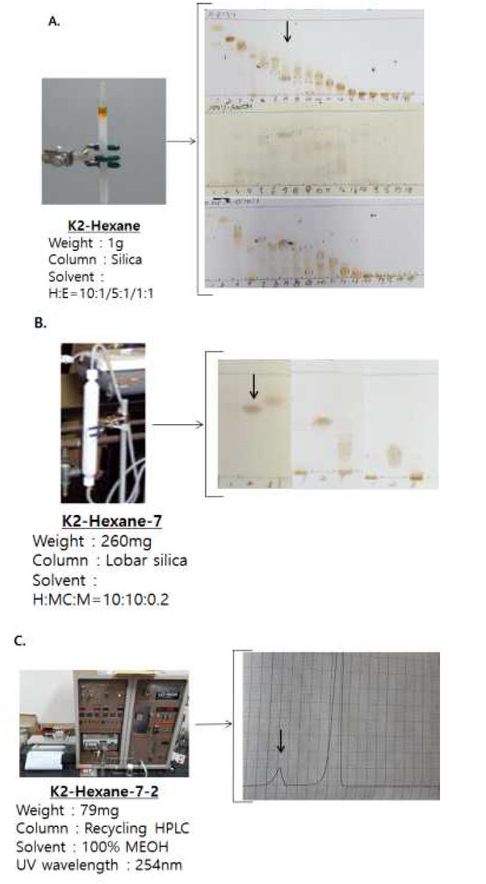 Liquid column chromatography를 이용한 지표 성분 분리 과정