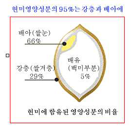 현미에 함유된 영양성분의 비율