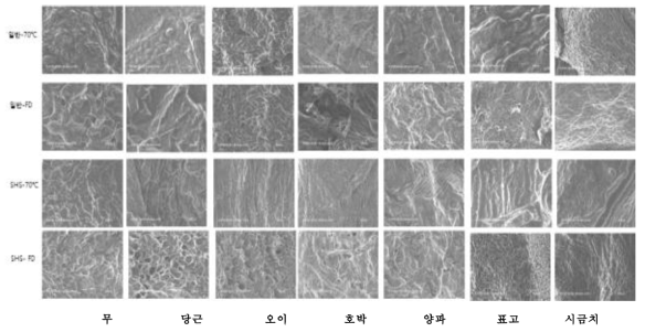 다양한 전처리 나물 건조품의 SEM(x100)