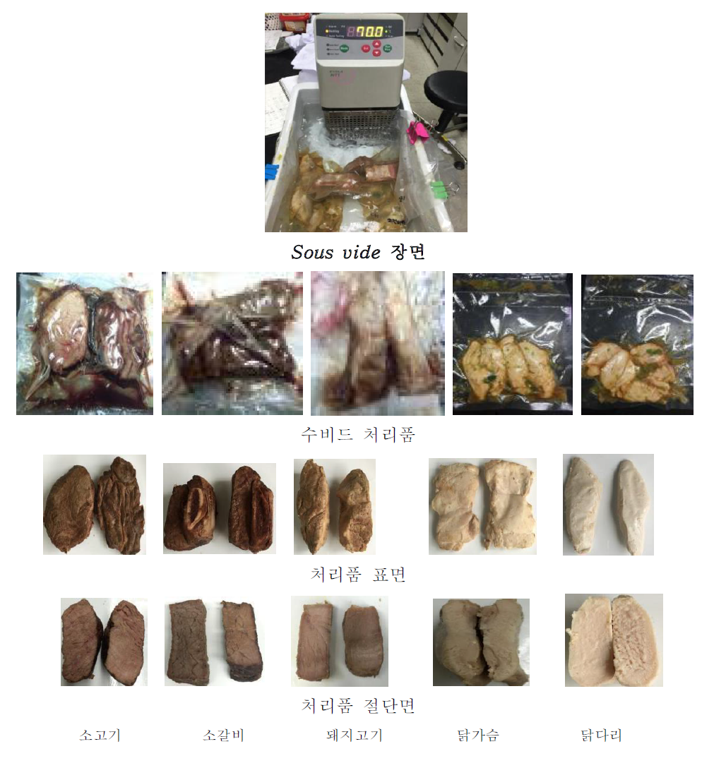 수비 처리육의 성상 및 단면