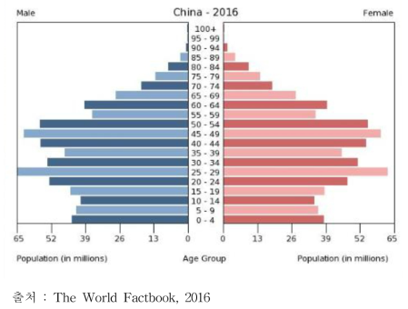 중국 인구 피라미드
