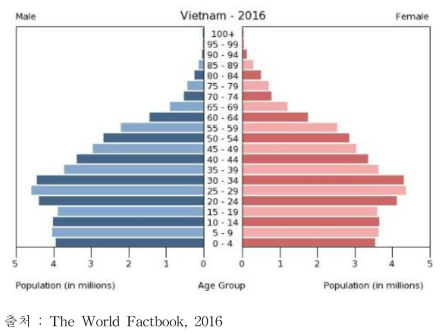 베트남 인구 피라미드