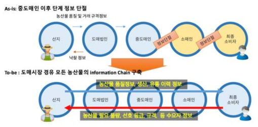 도매시장 경유 농산물 information Chain 현황 및 개선방향