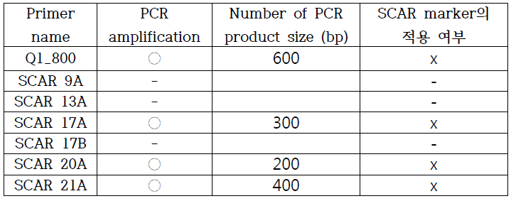 Primer 조합별 PCR 산물 중폭 여부 및 PCR 산물 크기