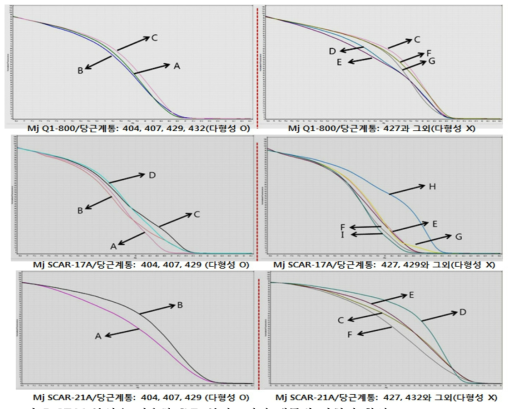 HRM 분석을 이용한 SNP 분자표지의 계통별 다형성 확인