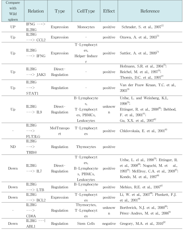 Summary of Studio pathway