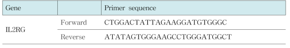 Primer set lists for IL2RG KO pig analysis