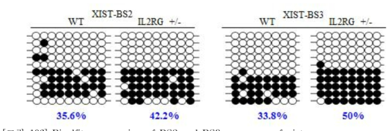 Bisulfite sequencing of BS2 and BS3 sequences of xist