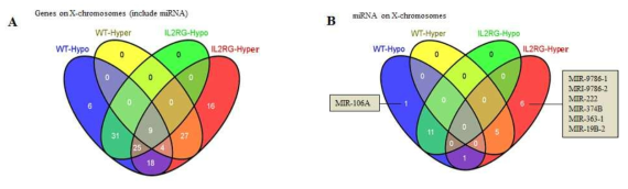 A. venn diagram of methylated genes from x-chromosome B. venn diagram of miRNA from only x-chromosome