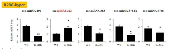 miRNA expression