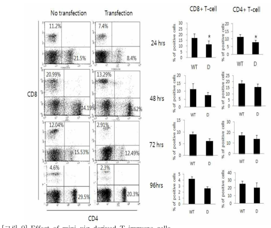 Effect of mini-pig derived T immune cells