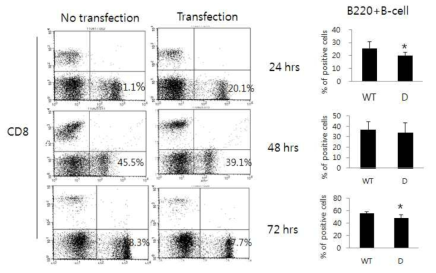 Effect of mini-pig derived B immune cells