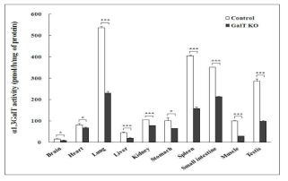 Assay of α1,3-galactosyltransferase activity.