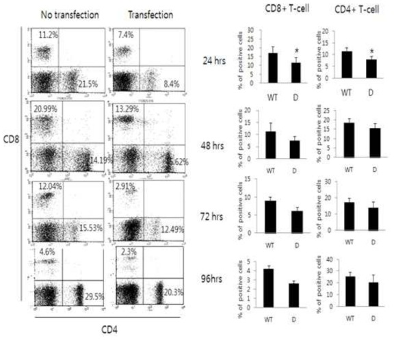 Effect of mini-pig derived T immune cells