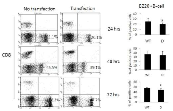 Effect of mini-pig derived B immune cells