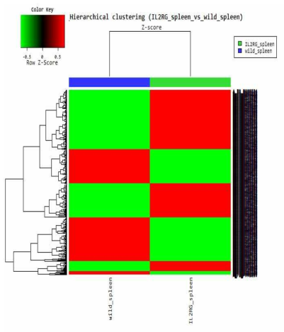 Tissue expression patterns of the IL2RG+/- spleen on microarray data.