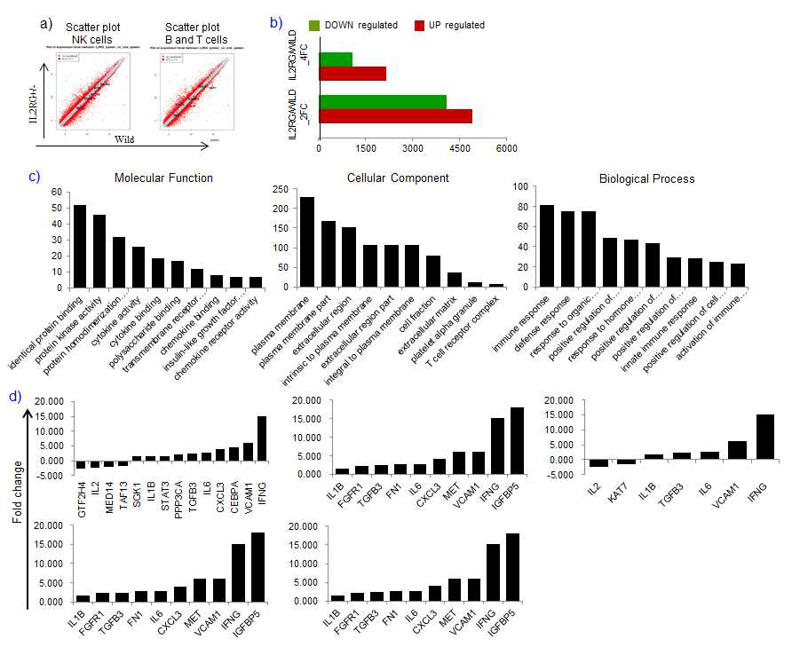 DNA chip analysis and validation of real-time RT-qPCR.