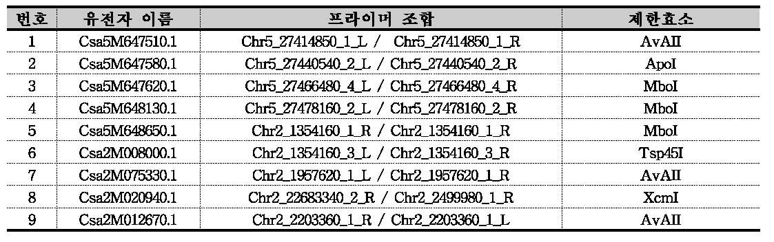 NBS-LRR 유전자의 CAPS 마커 전환을 위한 제한 효소