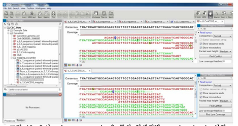 오이 reference mapping을 통한 염색체별 pseudomolecule 서열