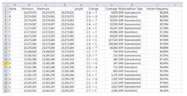 오이 SNP 마커 엑셀 데이터베이스 이미지