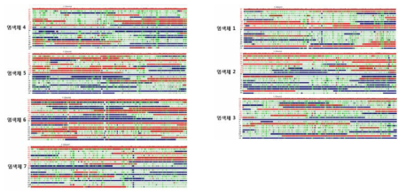 GBS 분석 대상 식물 개체의 염색체별 Genotyping 결과.