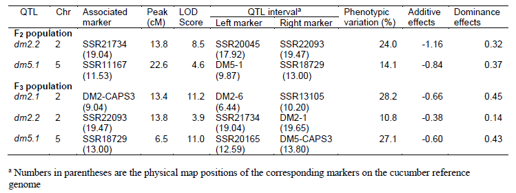 F2 집단 기반과 F3 집단 기반의 노균병 major QTL 분석 결과 비교